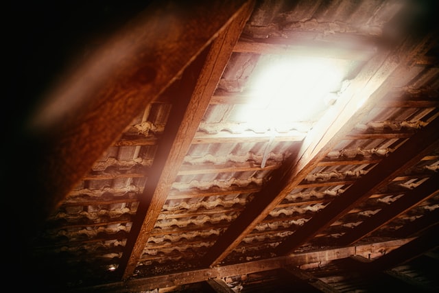 If you smell mildew or notice that your ceiling lights are dripping water, call an attic mold removal company as soon as possible.