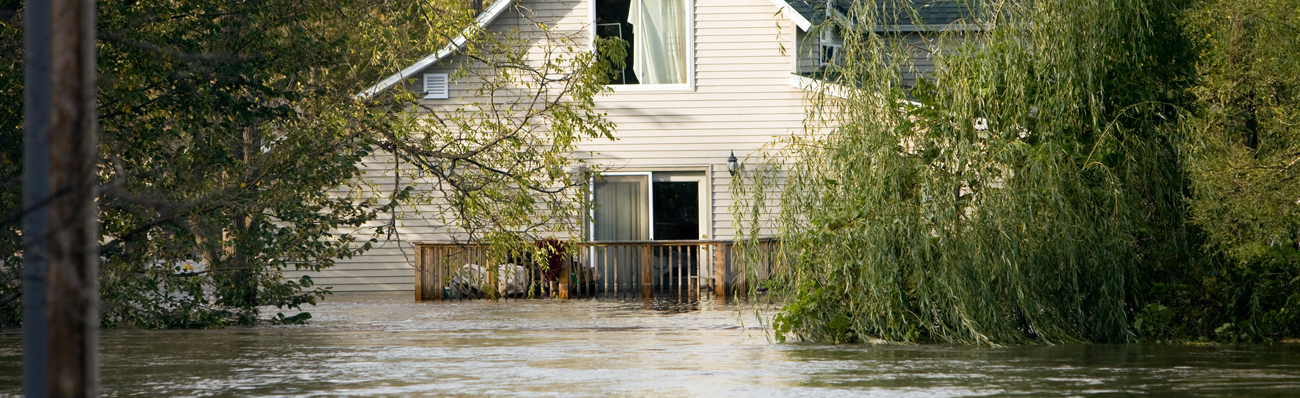 Green Genie is the BEST in Flood Damage Restoration Services from Mold to Water Damage. Proudly serving Buffalo, Niagara Falls and West, NY Green Genie 📍 575 Ludwig Ave Suite 200, Cheektowaga, NY 14227 | https://www.greengeniewny.com/
