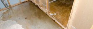 Green Genie is the BEST Water Damage, Fire Damage, Flood, and Mold Removal Company in Niagara Falls NY